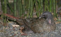 Lee’s Three Word Wednesday –&nbsp;1/18/17