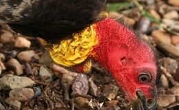 Lee’s Five Word Friday –&nbsp;1/13/17