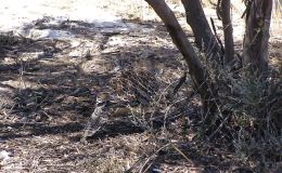 Lee’s One Word Monday –&nbsp;1/9/17