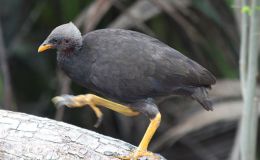 Lee’s Two Word Tuesday –&nbsp;1/10/17