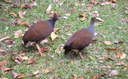 Lee’s Three Word Wednesday –&nbsp;1/11/17