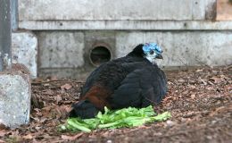 Lee’s Four Word Thursday –&nbsp;1/12/17