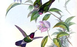 All Pages Updated For the I.O.C. Version&nbsp;7.1