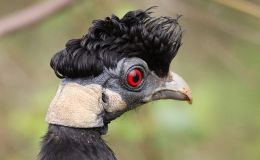 Lee’s Three Word Wednesday –&nbsp;2/8/17