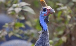 Lee’s One Word Monday –&nbsp;2/6/17