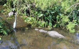 Lee’s Seven Word Sunday –&nbsp;2/5/17