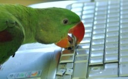 Lee’s One Word Monday –&nbsp;2/27/17