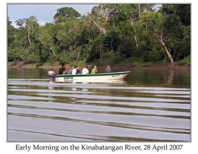 Brown Wood Owl (Strix leptogrammica) by Ian