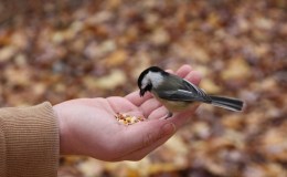 Lee’s Three Word Wednesday –&nbsp;3/8/17