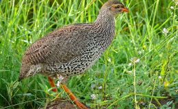 Lee’s One Word Monday –&nbsp;3/6/17