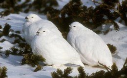 Lee’s Seven Word Sunday –&nbsp;3/5/17