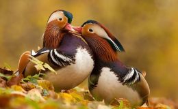 Lee’s Three Word Wednesday –&nbsp;4/26/17