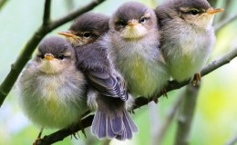 Lee’s Seven Word Sunday –&nbsp;4/9/17