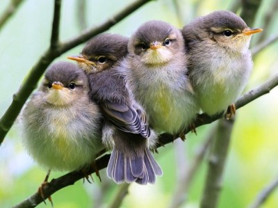 From Pinterest by Henji