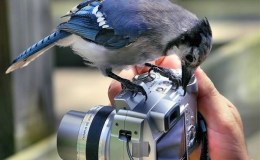 Lee’s Four Word Thursday –&nbsp;4/27/17