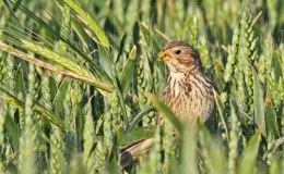 Lee’s Two Word Tuesday –&nbsp;4/18/17