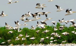 Lee’s Five Word Friday – 4/21/17&nbsp;ex