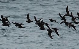 Lee’s Two Word Tuesday –&nbsp;4/11/17