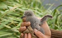 Lee’s Three Word Wednesday –&nbsp;4/12/17