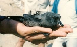 Lee’s One Word Monday –&nbsp;4/10/17