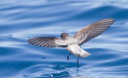 Lee’s Seven Word Sunday –&nbsp;4/2/17