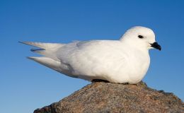 Lee’s Six Word Saturday –&nbsp;7/8/17