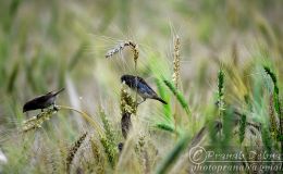 Lee’s Five Word Friday –&nbsp;5/12/17