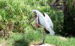 Lee’s Three Word Wednesday –&nbsp;6/7/17