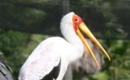 Lee’s Two Word Tuesday –&nbsp;6/6/17