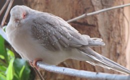 Lee’s Seven Word Sunday –&nbsp;6/18/17