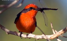 Lee’s Three Word Wednesday –&nbsp;6/14/17