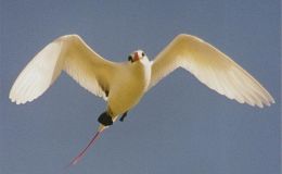 Lee’s Three Word Wednesday –&nbsp;5/31/17