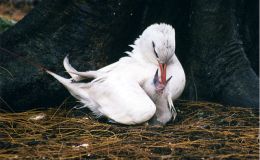 Lee’s Two Word Tuesday –&nbsp;5/30/17