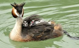 Lee’s Three Word Wednesday –&nbsp;5/17/17