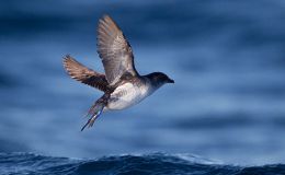 Lee’s Three Word Wednesday –&nbsp;5/10/17