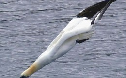 Lee’s Seven Word Sunday –&nbsp;5/14/17