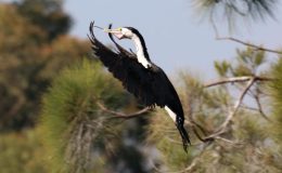 Lee’s Seven Word Sunday –&nbsp;5/28/17