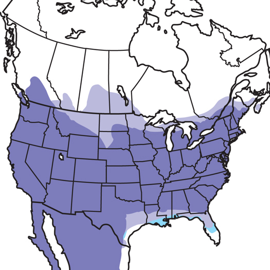 HouseFinch-RangeMap.AudubonFieldGuide