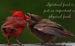 Staying Close To The&nbsp;Father