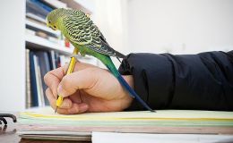 Lee’s Six Word Saturday –&nbsp;7/1/17