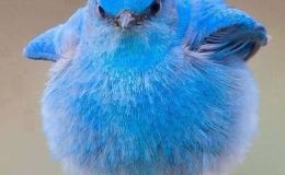 Lee’s Two Word Tuesday –&nbsp;6/27/17