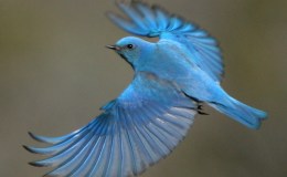 Lee’s Three Word Wednesday –&nbsp;6/28/17