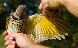 Lee’s Four Word Thursday –&nbsp;6/15/17