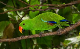 Lee’s Five Word Friday –&nbsp;6/16/17