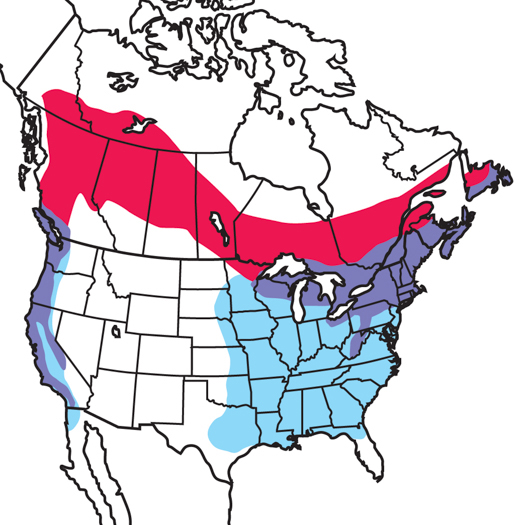 PurpleFinch-RangeMap.AudubonFieldGuide