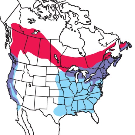 PurpleFinch-RangeMap.AudubonFieldGuide