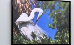 Lee’s Five Word Friday –&nbsp;7/28/17