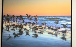 Lee’s Seven Word Sunday –&nbsp;7/30/17