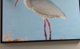 Lee’s Six Word Saturday –&nbsp;7/15/17