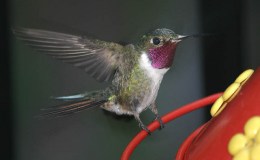 Tiny Superlatives And God’s Love ~ Creation&nbsp;Moments